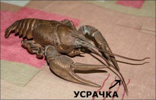 Неудачный разворот через сплошную