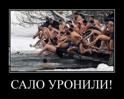 Краткая история сала 