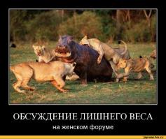 Сексуальная реклама