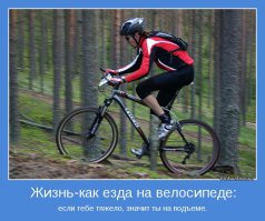 Вид из под колеса)))