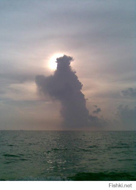 У нас тоже бывают разные виды облаков...
