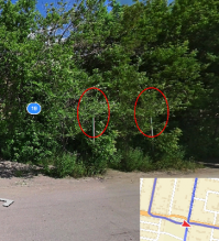 Авария дня 1828. В Караганде женщина погубила свою мать