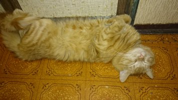 а вот мое придурковатое чудо: каким был и каким стал