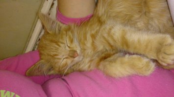 а вот мое придурковатое чудо: каким был и каким стал