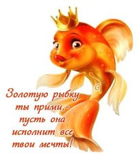 Александр Пушной! 40 лет не празднуют, но с ними поздравляют!