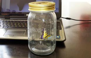 У меня вот такая в банке живет... и кормить не надо. На работе некоторые сердобольные пытались выпустить..