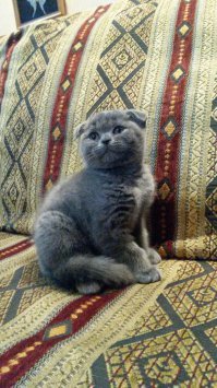 пополнение в семье.