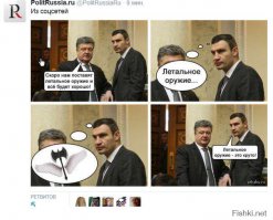 летальное оборонительное оружие «силам, лояльным Киеву»