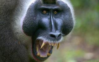 Подборка видео от 28.05.2014