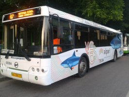 А меня куда отнести? Вот моя малышка)