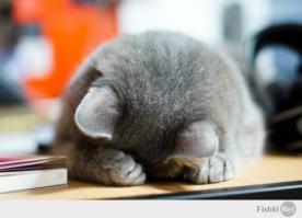 Как то жутко!!!