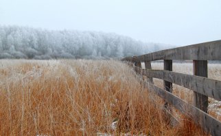 Подмосковье:)