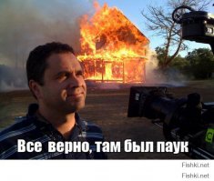 я тоже хотел богомола домой в террариумик завести... но потом представил, если сбежит - прийдётся спалить хату.