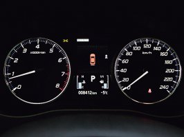 Может на некоторых, но у меня вот такая панель - указатель справа. А лючок слева (и стрелка, да, показывает верно)
А давно была максима 1996г. там вообще не было стрелочки...