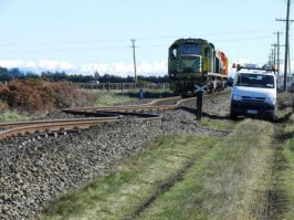 Удивительные фотографии, которых не касался фотошоп