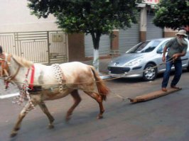Подборка автоприколов. Часть 224