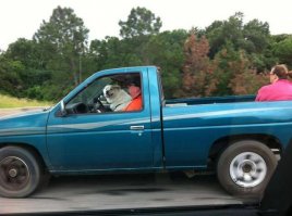 Подборка автоприколов. Часть 224