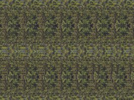 стереограммы они называются