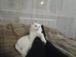 Мой Кокос...2года ему