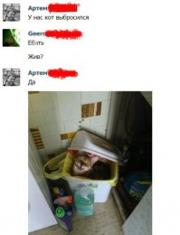 Смешные комментарии из социальных сетей, 22.05.2015