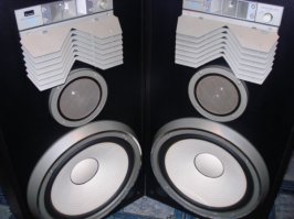 Такие были.
Через "Берёзку" брали...