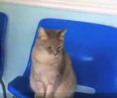 Мне кажется кое-кто этому не рад.