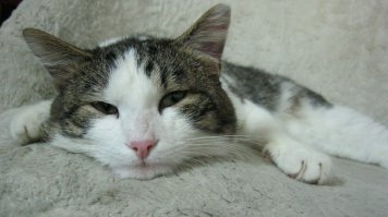 Фотоподборка за 22.05.2015