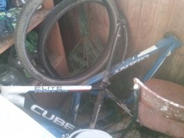 Эволюция в велоспорте