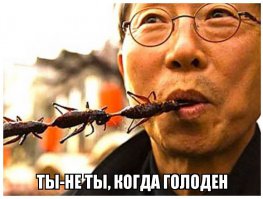 Большая медведка