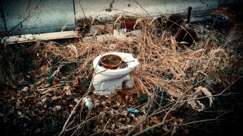 В Германии тоже горшки процветают