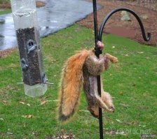 Так вот, чья это работа !