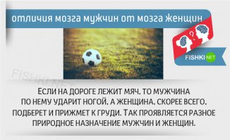 Значит сборная России по футболу - это оказывается переодетые женщины