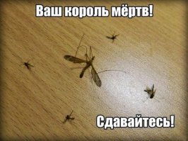 Актуальный совет к лету