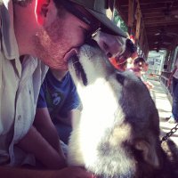 Волки отправляли свою еду в инстаграм?

Здесь у них шведский стол был.