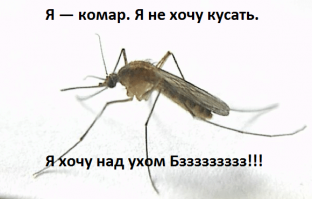 Актуальный совет к лету