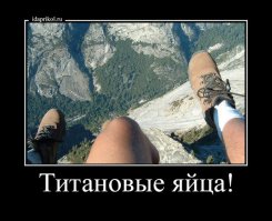 Хозяин воссоединился со своей украденной собакой спустя 8 лет
