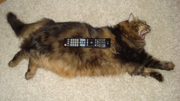 Это я, смотрю телек