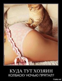 Смешные комментарии из социальных сетей, 22.05.2015