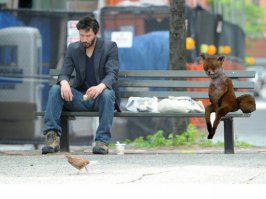 да что вы знаете о безысходности!? :)