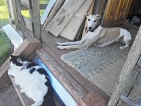 Михалыч и Джим