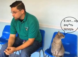 Хозяин воссоединился со своей украденной собакой спустя 8 лет