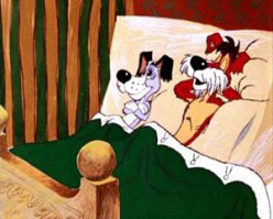 Чем занимаются собаки, когда хозяев нет дома