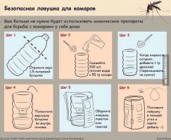 Актуальный совет к лету