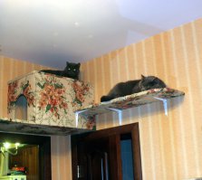 Спасибо))) вот вам еще)))