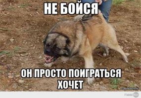  Всем, кто выступает против регулирования их популяции 