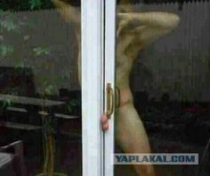 Звонок админу