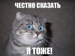 14 чудаков копирующих знаменитостей