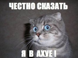 14 чудаков копирующих знаменитостей