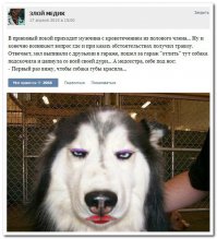 Смешные коменты из соц.сетей