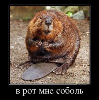 Орфографическая ошибка, изменившая герб Иркутска